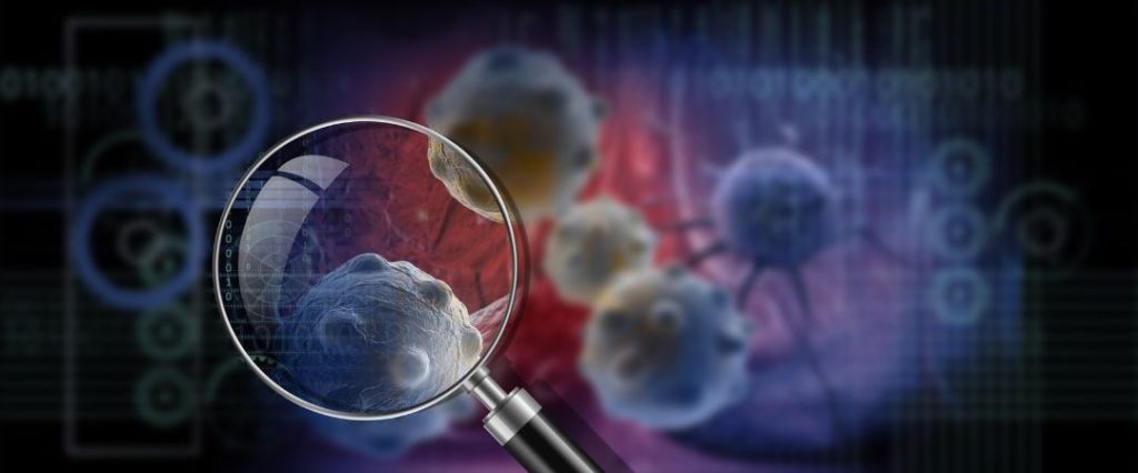 Krebszellen mit Lupe Animation stellen dar, dass Vitamin C vor Krebs schützen soll