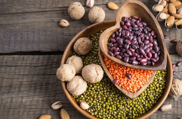 tierische Eiweißquellen als Beispiel für die Frage wie viel Eiweiß braucht man