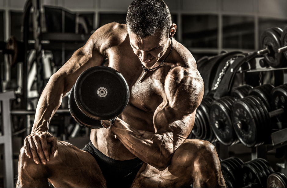 Bodybuilder beim Bizepscurl kann mit Pendeldiät gute Ergebnisse erzielen
