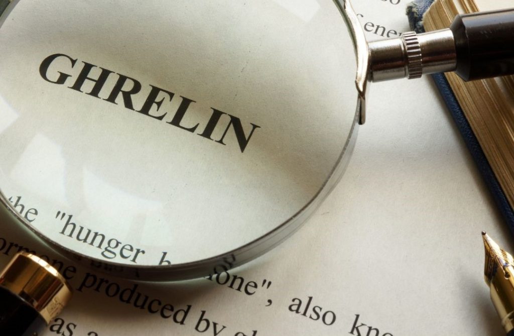 Hungerhormon Ghrelin unter einer Lupe