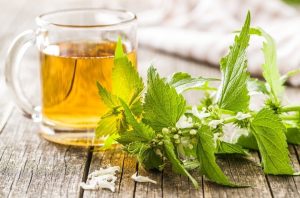 Brennesseltee hilft schnell bei Wassereinlagerungen im Sommer 