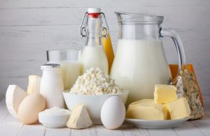 Wie viel Eiweiß braucht man, dargestellt von vielen Milchprodukten